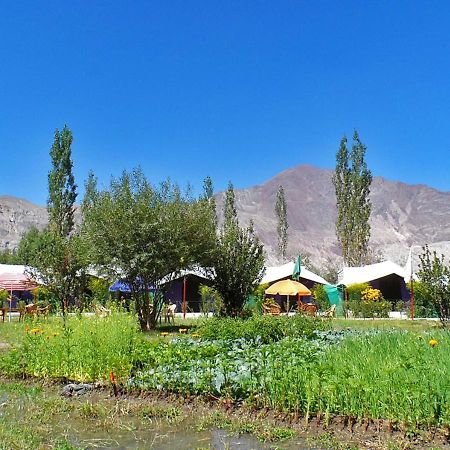 Tiger Camp Nubra Hotel Buitenkant foto