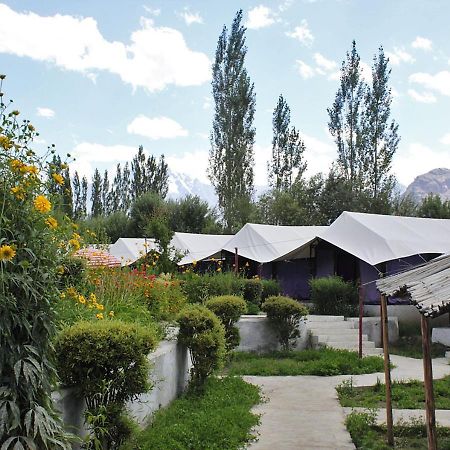 Tiger Camp Nubra Hotel Buitenkant foto