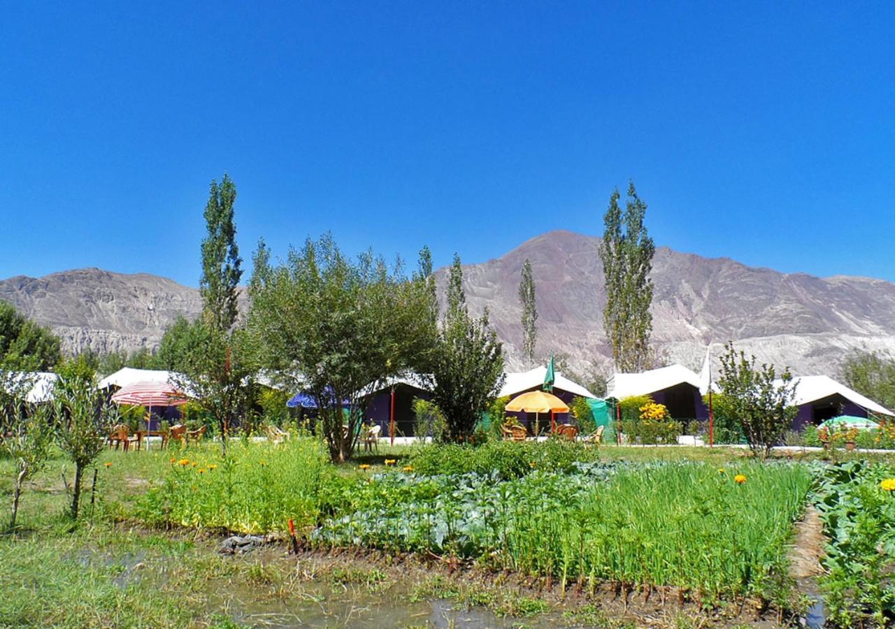 Tiger Camp Nubra Hotel Buitenkant foto