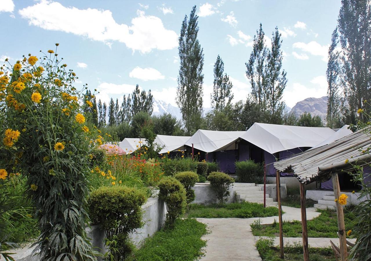 Tiger Camp Nubra Hotel Buitenkant foto