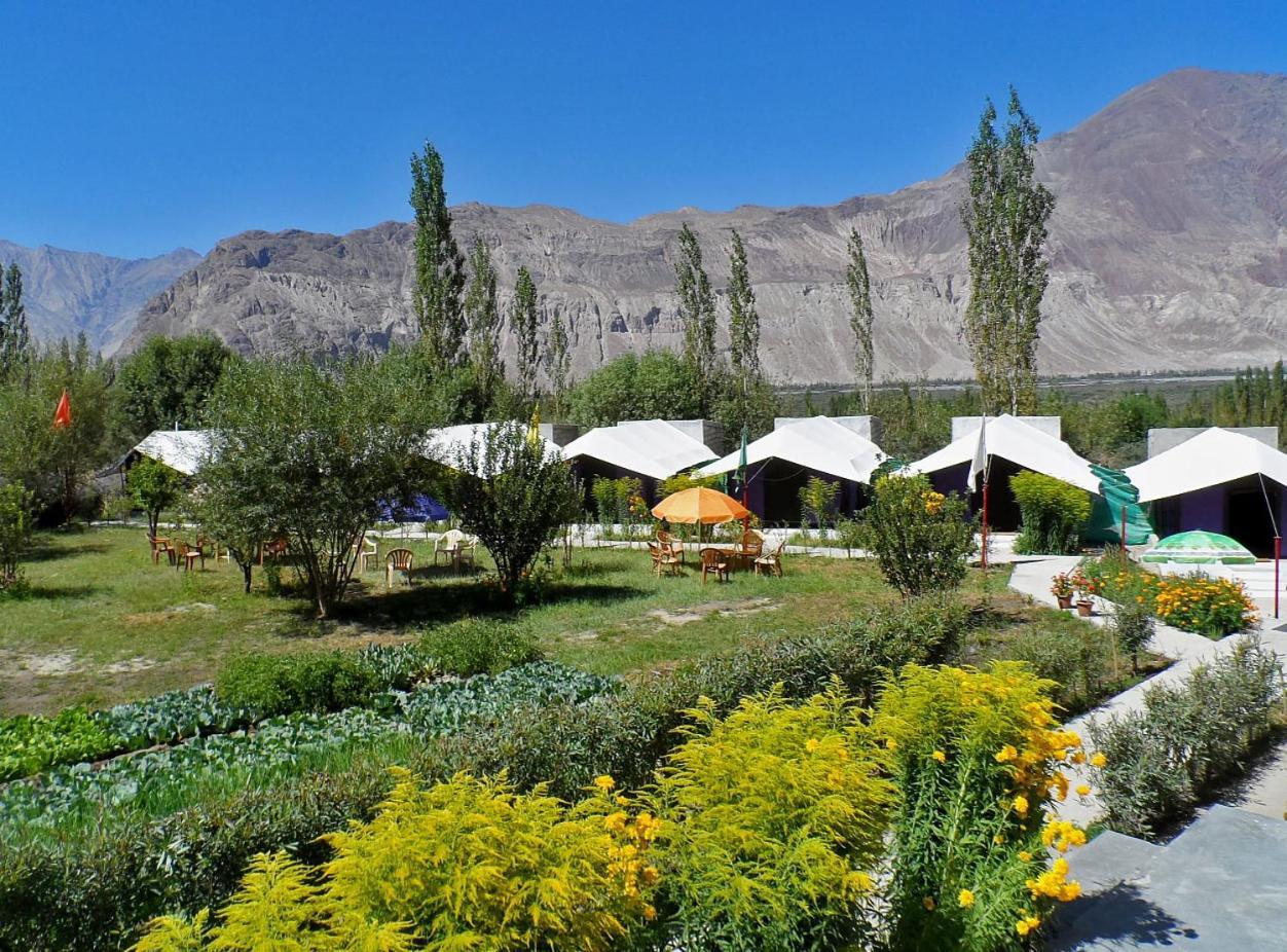 Tiger Camp Nubra Hotel Buitenkant foto