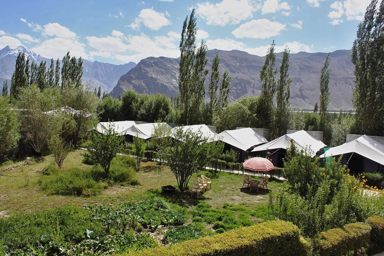 Tiger Camp Nubra Hotel Buitenkant foto