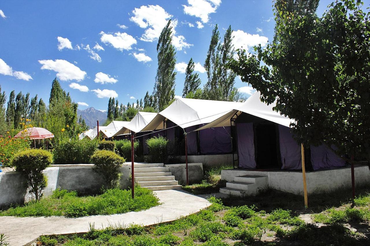 Tiger Camp Nubra Hotel Buitenkant foto